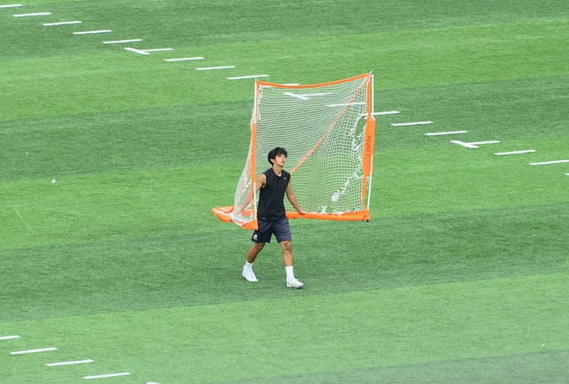 职业生涯的 职业生涯的