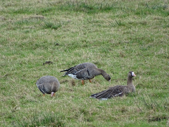 来自北京市 来自北京市