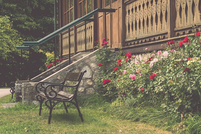 分配体能 分配体能