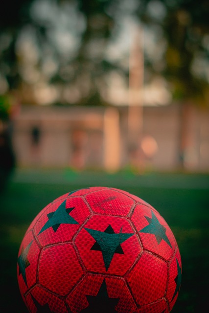 球队现有的 球队现有的