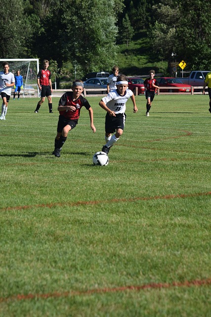 新数据的能 新数据的能