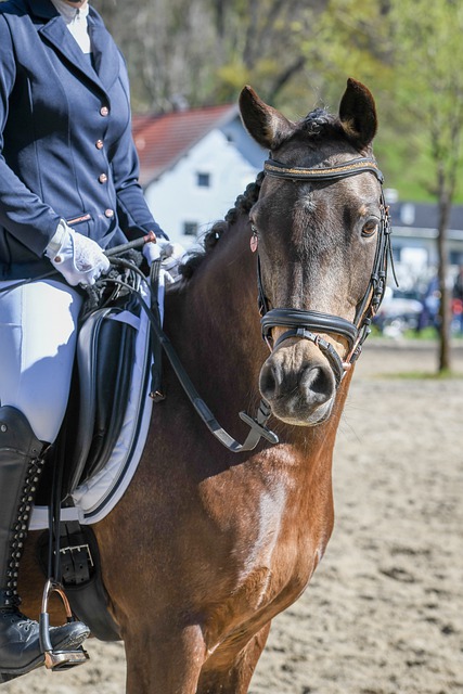 不僅成功制 不僅成功制