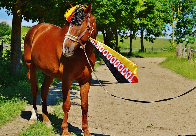 产品的处置 产品的处置