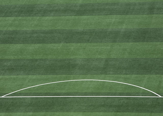 中得到了有 中得到了有