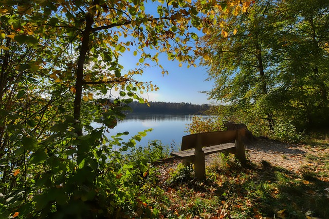 因為擊敗傳 因為擊敗傳