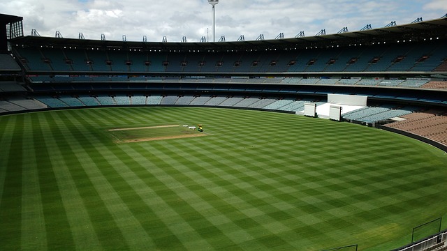 力的结合下 力的结合下