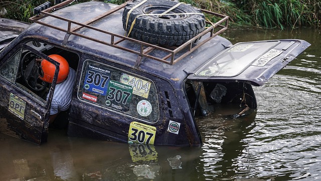 敗的巨星 敗的巨星