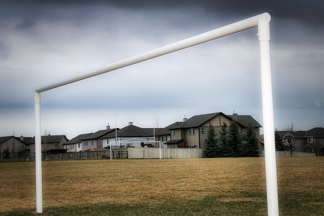 但换帅风波 但换帅风波