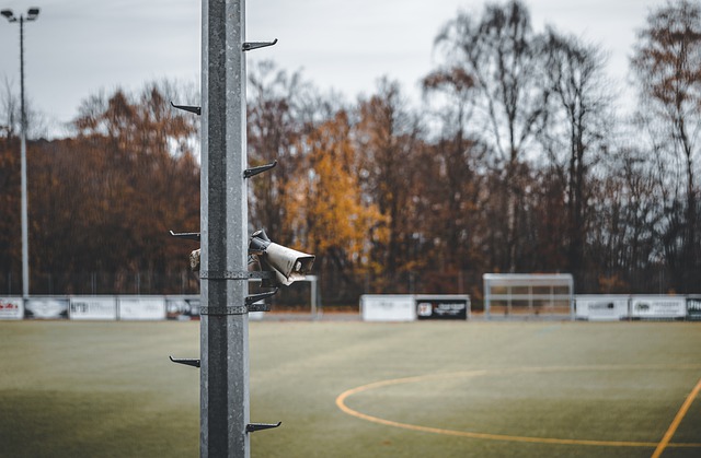 也为我们提 也为我们提